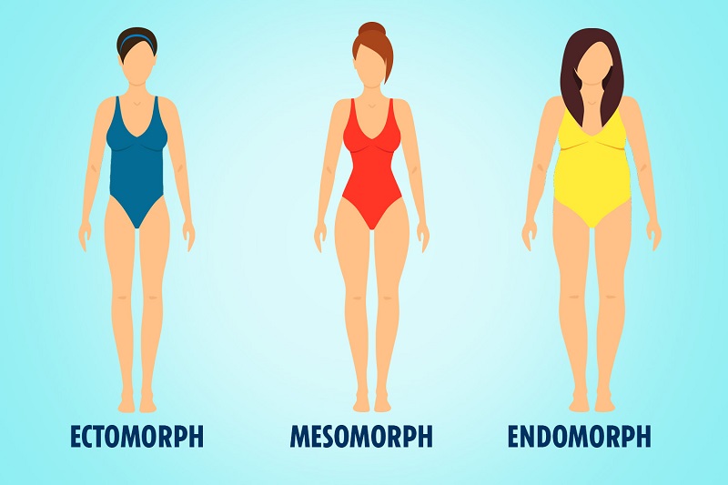 Here's what all three body types should know