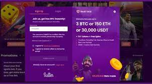 Discover financially rewarding no down payment crypto gambling enterprise rewards to enhance your bankroll